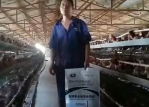 原保軍在河南安陽為益農(nóng)蛋雞預(yù)混料代言！